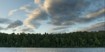 View of trees at lakeside, Lake of The Woods, Ontario, Canada
