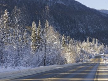 Snow covered trees along a road, Highway 16, Yellowhead Highway, British Columbia, Canada