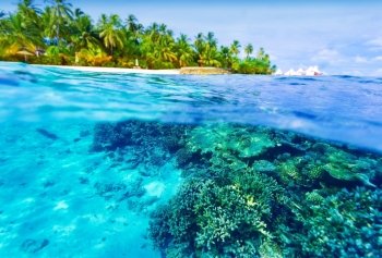 Summer vacation concept, beautiful underwater nature in Indian ocean, exotic island with tropical trees, wonderful landscape of Maldives