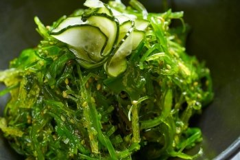 Algae salad with cucumber sesame and soya macro detail