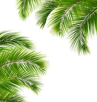 Exotic Frame with Palm Leaves. Place for Your Text. Illustration Exotic Frame with Palm Leaves. Place for Your Text - Vector
