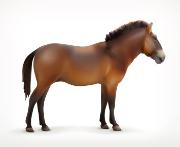 Horse, vector icon