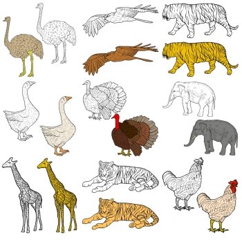 Sketch elephant tiger eagle rooster giraffe ostrich turkey goose. chicken on a white background. Vector illustration.