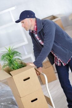 man pushing stack of moving boxes on hand truck
