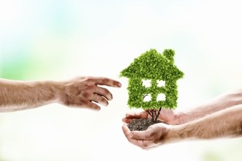 Clean house. Image of human hands holding plant shaped as house. Ecology and purity