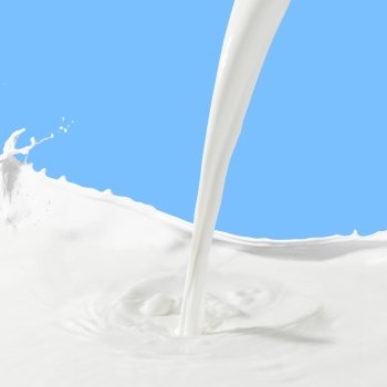 Pouring milk splash. Pouring white milk splash on colour background