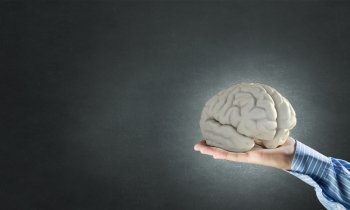 Human mind concept. Close up of businessman holding image of brain in hands