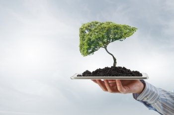Green planet concept. Human hand holding tablet pc with green tree on it