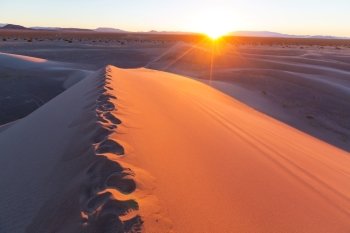 Sand dunes in the Sahara desert