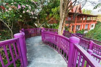 Walkway in tropical forest
