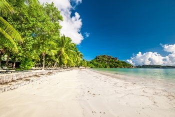 Beautiful beach with palm tree at Seychelles, Praslin, Cote d'Or