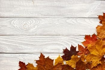 Textured vintage rustic wooden background with autumn yellow leaves 