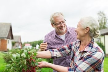farming, gardening, old age and people concept - happy senior couple harvesting red currant at summer garden