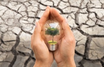 recycling, conservation, environment and ecology concept - close up of hands holding light bulb with tree inside over dry cracked ground. hands with tree inside light bulb over dry ground