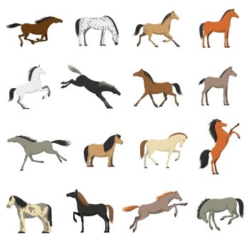 Best Horse Breeds Pictures Icons Set . Best horses breeds icons collection for work sport and entertainment with shetland pony abstract isolated vector illustration 
