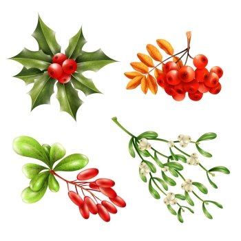 Christmas Berry Branches Set. Flat christmas berries and branches set with mistletoe ashberry barberry isolated on white background vector illustration