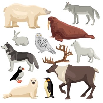 Polar Animals Set. DIfferent flat polar animals and birds set isolated on white background vector illustration