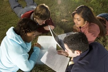 Four students studying outdoors