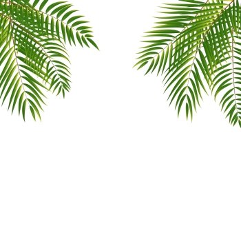 Beautifil Palm Tree Leaf  Silhouette Background Vector Illustration EPS10. Beautifil Palm Tree Leaf  Silhouette Background Vector Illustrat