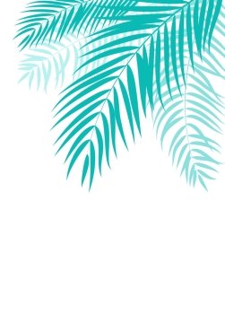 Beautifil Palm Tree Leaf  Silhouette Background Vector Illustration EPS10. Beautifil Palm Tree Leaf  Silhouette Background Vector Illustrat