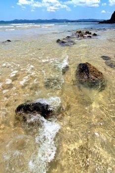     madagascar    andilana beach seaweed in indian ocean  sand isle  sky and rock 