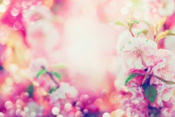 Beautiful summer floral background with pink blooming , sun shine and bokeh
