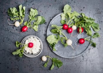 Radishes with green haulm leaves an grain cheese on dark  rustic background, top view, place for text. Snack vegetarian food