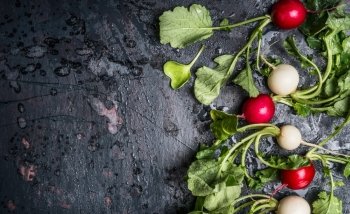 Colorful radishes with green haulm leaves on dark rustic background, top view, place for text. Clean healthy organic vegan or vegetarian food concept