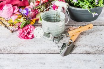 Gardening tools with watering can and flowers on white wooden background, top view