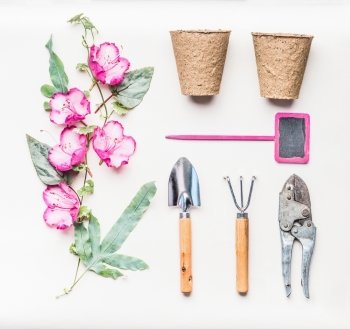 Pink female Gardening equipment  flat lay for planting, weeding, pruning with garden tools, flowers plant , pots ,Shears and sign on white table background, top view