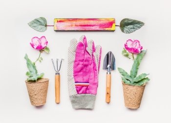 Pink Gardening equipment  flat lay for planting, weeding, pruning with garden tools, flowers seedling plant in pot and Gloves on white table background, top view