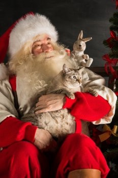 Santa Claus sitting near Christmas tree and embracing his cat. Santa at home