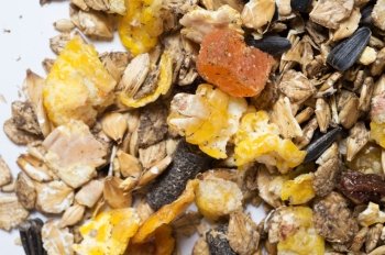  natural  muesli  background with fruits. for horse. extrime macro