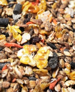 Fruity natural sportive  muesli background. for horse. close up