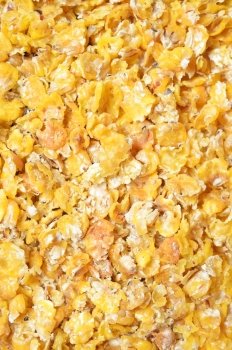 corn flakes background. for horses. 