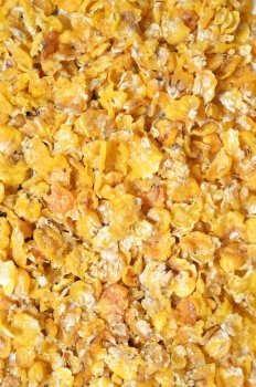 corn flakes background. for horses