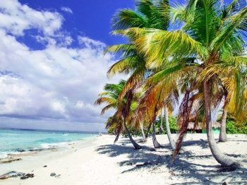 tropical beach in Dominican republic. Caribbean sea. Island Katalina