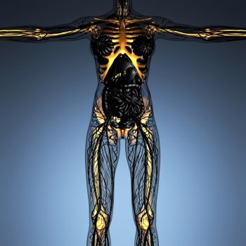science anatomy of human body in x-ray with glow skeleton bones