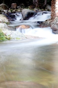 Nice creek with clear water flowing between the rocks