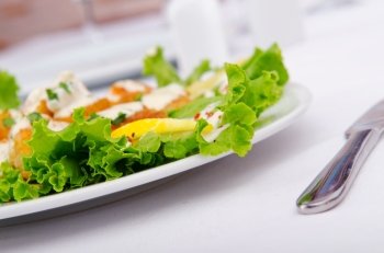 Ceasar salad served in the plate