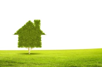 We love our planet. Conceptual image of green plant shaped like house