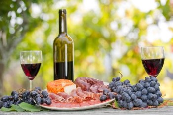 Country life setting with wine, fruits, cheese and meat. Outdoor