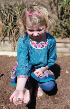 Pretty young girl showing sunflower seeds she is about to plant