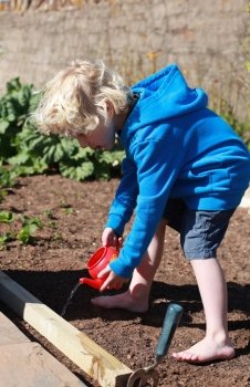 Blonde haired boy watering seeds he has just planted from a toy teapot