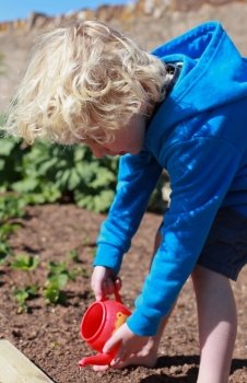 Blonde haired boy watering seeds he has just planted from a toy teapot