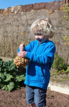 Beautiful little boy holding a net of onions ready to plant