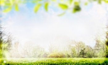 Spring or summer nature background with foliage,trees and lawn in garden or park