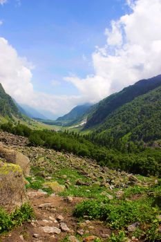 Beautiful scenery. Himachal Pradesh, Northern India
