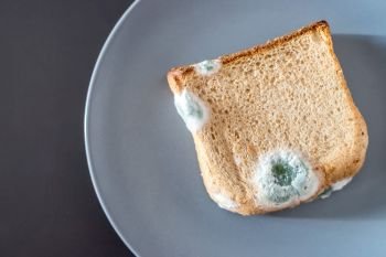 Rotten toast slices with green mildew on it