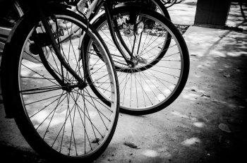 bicycle wheel  on road